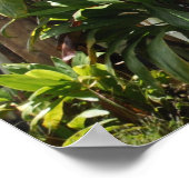 Poster Maui Surfboard (Hoek)