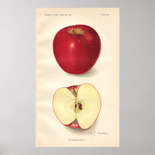 Poster McCroskey Apple (Voorkant)