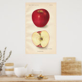 Poster McCroskey Apple (Keuken)