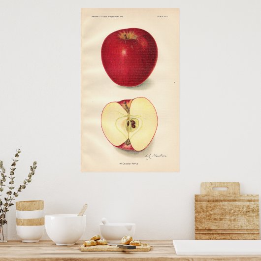 Poster McCroskey Apple (Keuken)