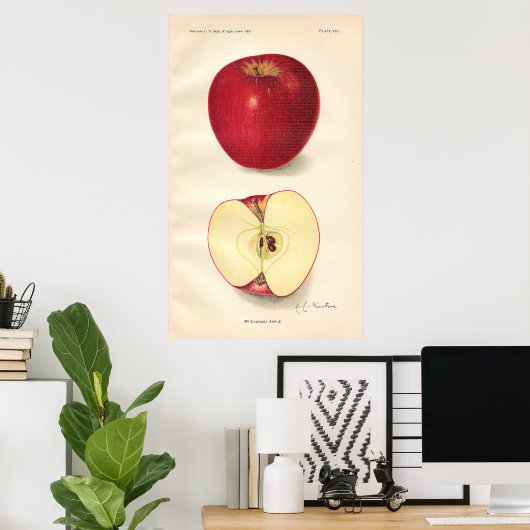  Poster McCroskey Apple (Thuiskantoor)