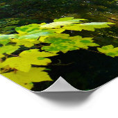 Poster meer en bomen (Hoek)