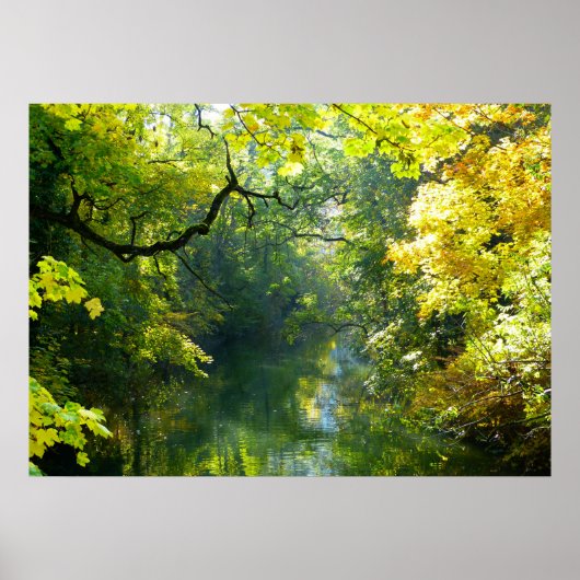 Poster meer en bomen (Voorkant)