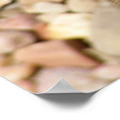 Poster Meerkat (Hoek)