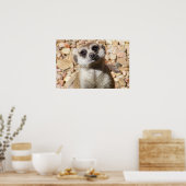 Poster Meerkat (Keuken)