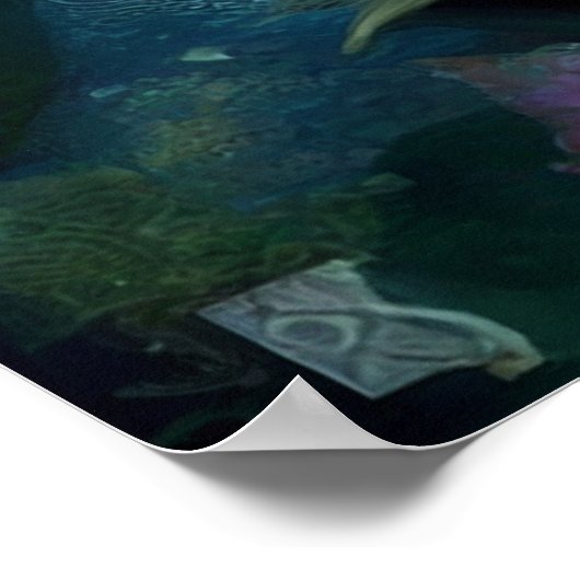 Poster mermaid (Hoek)