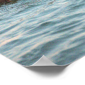 Poster met Amerikaanse nonnetjes (Hoek)