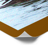 Poster met Amerikaanse nonnetjes eend (Hoek)