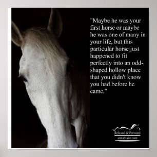 Poster met Anna Blake Quote over paarden.