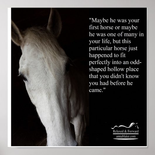 Poster met Anna Blake Quote over paarden. (Voorkant)