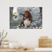 Poster met Basset Hound Castle Ruin Bezoek (Keuken)