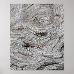 Poster met basttextuur van olijfboom