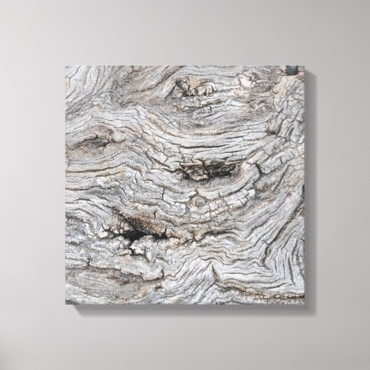 Poster met basttextuur van olijfboom canvas afdruk (Voorkant)