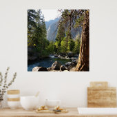 Poster met beek, bos en bergen (Keuken)