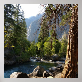 Poster met beek, bos en bergen