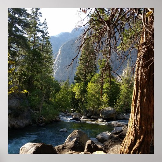 Poster met beek, bos en bergen (Voorkant)