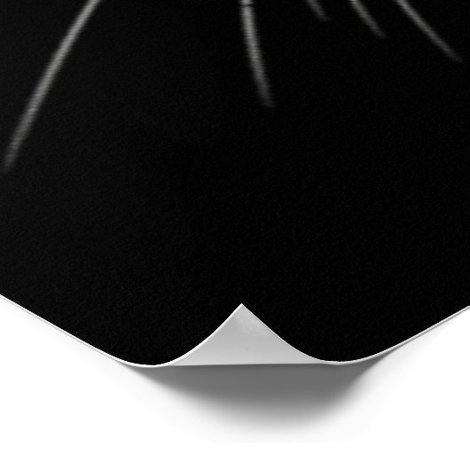 Poster met blauw zwarte kat (Hoek)