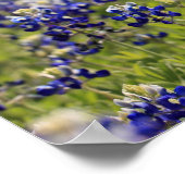 Poster met blauwe bonen (Hoek)