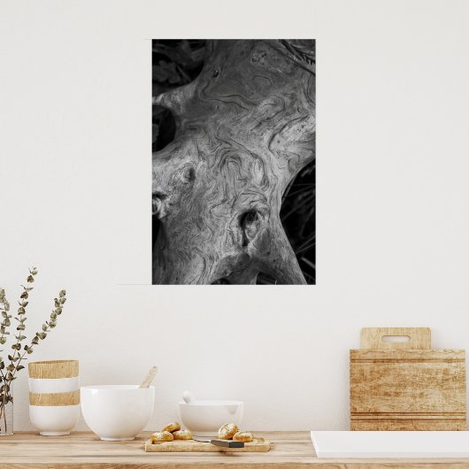 Poster met boomwortel (Keuken)