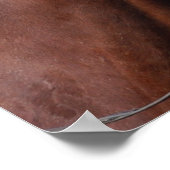 Poster met braad Horse Mane (Hoek)