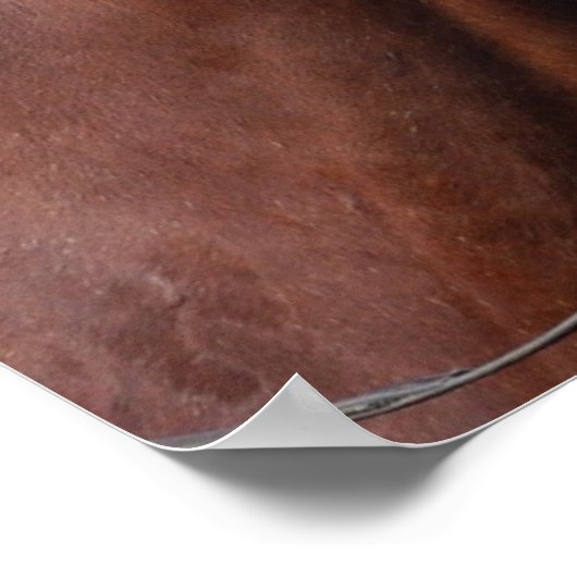 Poster met braad Horse Mane (Hoek)