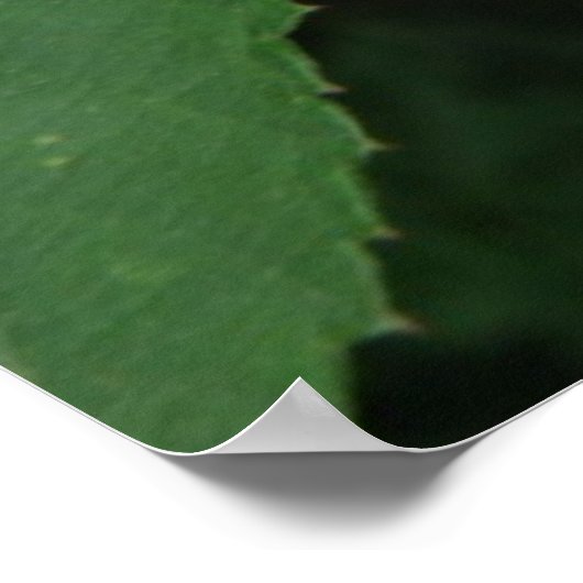 Poster met bramen (Hoek)