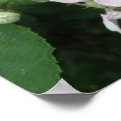 Poster met bramen (Hoek)