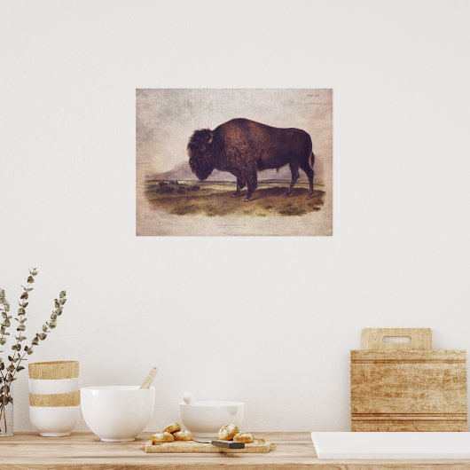  Poster met buffel of ontkoppelpapier (Keuken)