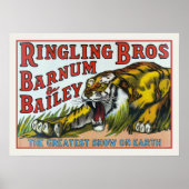 Poster met  Circus Tiger afdrukken (Voorkant)