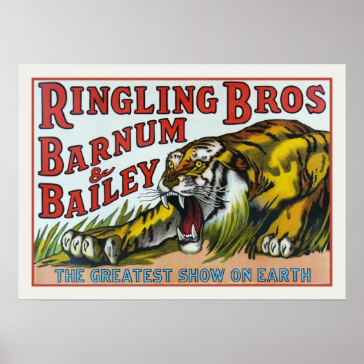Poster met  Circus Tiger afdrukken (Voorkant)