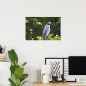 Poster met de geelbruin Night-Heron (Thuiskantoor)