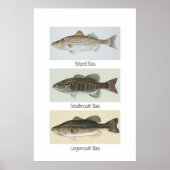 Poster met drie bits (Voorkant)