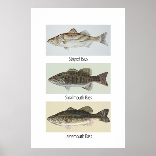 Poster met drie bits (Voorkant)