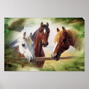 Poster met drie paarden