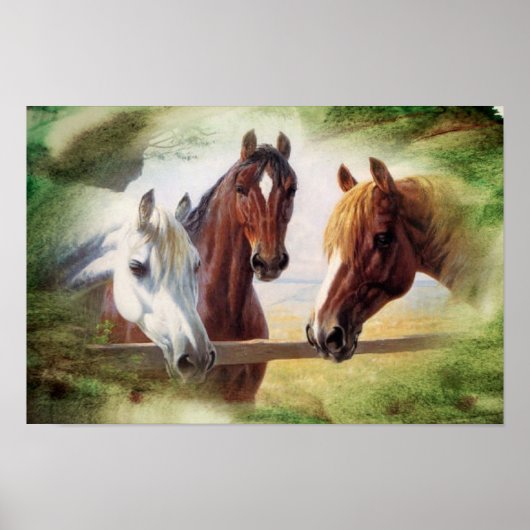 Poster met drie paarden (Voorkant)