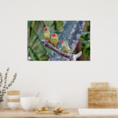 Poster met drie sterren (Keuken)