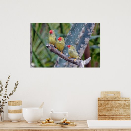 Poster met drie sterren (Keuken)