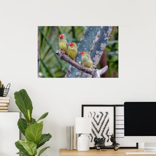 Poster met drie sterren (Thuiskantoor)