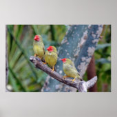 Poster met drie sterren (Voorkant)