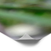 Poster met drie sterren (Hoek)