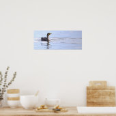 Poster met dubbelkuif-aalscholver vogel (Keuken)