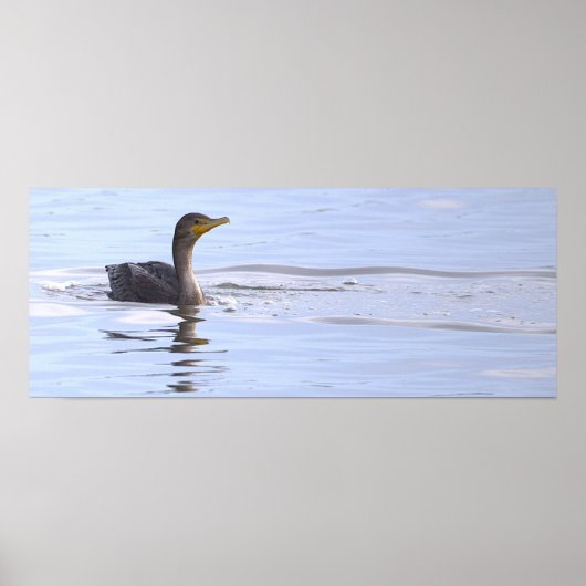 Poster met dubbelkuif-aalscholver vogel (Voorkant)