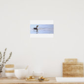 Poster met dubbelkuif-aalscholver vogel (Keuken)