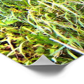 Poster met een witte buck (Hoek)