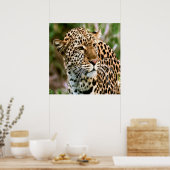 Poster met gebotteld luipspuit (Keuken)