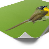 Poster met geelborstkast (Hoek)