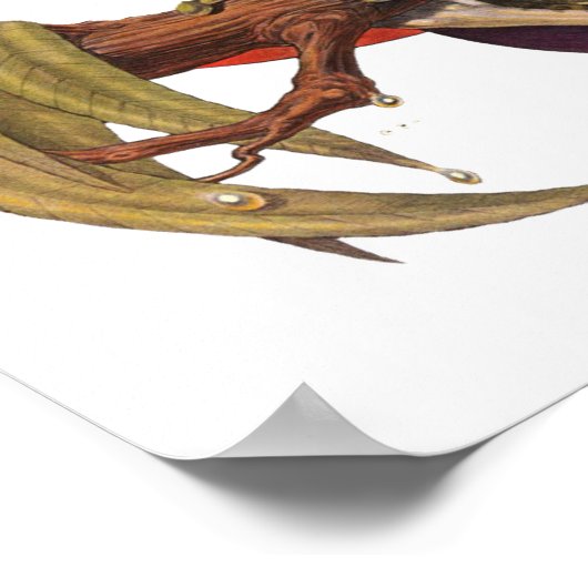 Poster met gekantelde kikkers (Hoek)