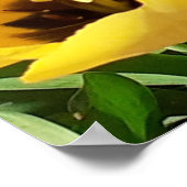 Poster met gele en rode tulpen (Hoek)