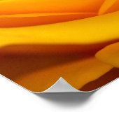 Poster met gele roos bloem (Hoek)