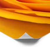 Poster met gele roos bloem (Hoek)